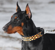 Doberman dog collar - Hand painted by our artists