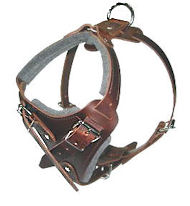 DOBERMAN adjustable dog harness - H1