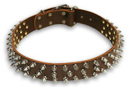 Exclusive Doberman Brown dog collar 18 inch/18'' collar-S44