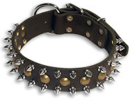 Custom Doberman Black dog collar 18 inch/18'' collar - S55