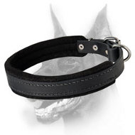 Best Padded Leather Dog Collar - Doberman Collar with Padding 1 inch (2.5cm) width Best Padded Leather Dog Collar - Doberman Collar with Padding 1 inch (2.5cm) width