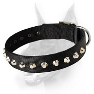 Fashion Nylon Collar with 1 Row Studs -1 1/2" for Doberman - Branded Product Fashion Nylon Collar with 1 Row Studs -1 1/2" for Doberman - Branded Product