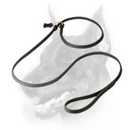 Doberman Dog Leather Leash and Collar in One Doberman Dog Leather Leash and Collar in One