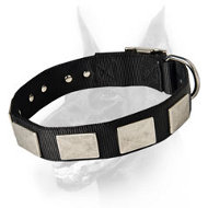 Nylon Dog Collar For Large and Medium Breeds With Vintage Plates Nylon Dog Collar For Large and Medium Breeds With Vintage Plates
