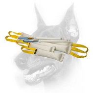 Doberman Dog Training Set of 6 Fire Hose Bite Tugs - buying it, you save $18.58 Doberman Dog Training Set of 6 Fire Hose Bite Tugs - buying it, you save $18.58