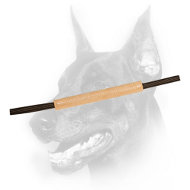 Doberman Puppy Bite Tug of Tough Leather Doberman Puppy Bite Tug of Tough Leather