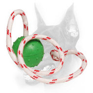 "Joy & Train" Doberman Dog Water Floating Rubber Ball "Joy & Train" Doberman Dog Water Floating Rubber Ball