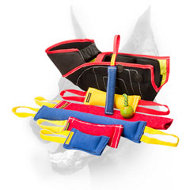 Doberman Puppy or Young Dog Fabulous Training Set + 3 Tugs for Free! ($36.70 saving) Doberman Puppy or Young Dog Fabulous Training Set + 3 Tugs for Free! ($36.70 saving)