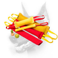 Doberman Dog Training Set of High-Quality Synthetics and 3 Toys as a Gift Doberman Dog Training Set of High-Quality Synthetics and 3 Toys as a Gift