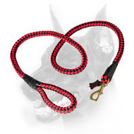 Doberman Dog Heavy-duty Nylon Cord for All-weather Activities Doberman Dog Heavy-duty Nylon Cord for All-weather Activities