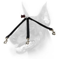 Doberman Dog High-quality Nylon Triple Coupler Leash Doberman Dog High-quality Nylon Triple Coupler Leash