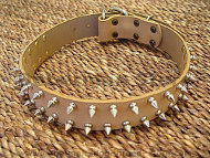 Doberman Leather Spiked Dog Collar- Dobie dog collar Doberman Leather Spiked Dog Collar- Dobie dog collar