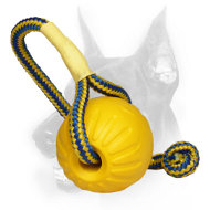 "Go get it" Doberman Dog Foam Ball with Colorful Nylon Rope "Go get it" Doberman Dog Foam Ball with Colorful Nylon Rope