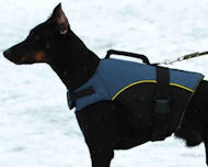 Doberman vest harness -Nylon Dog Harness with handle
