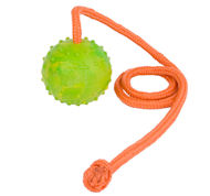 Training DOG BALL on a String-Dog Rubber Ball for Doberman