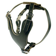 Heavy Duty Dog Harness for Doberman