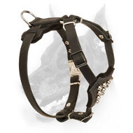 Leather Doberman Puppy Harness Decorated with Silver Studs Leather Doberman Puppy Harness Decorated with Silver Studs