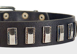 Ornament Dog Collar made of leather for Doberman
