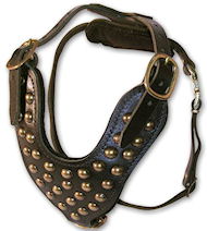 Studded Leather Dog Harness for Doberman Pinscher