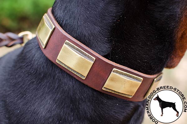 Polished plates riveted to leather Doberman collar