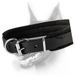 Extra strong dog collar for noble Dobermans