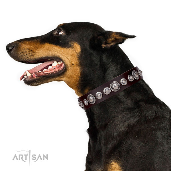 Stylish design decorated natural leather dog collar for fancy walking