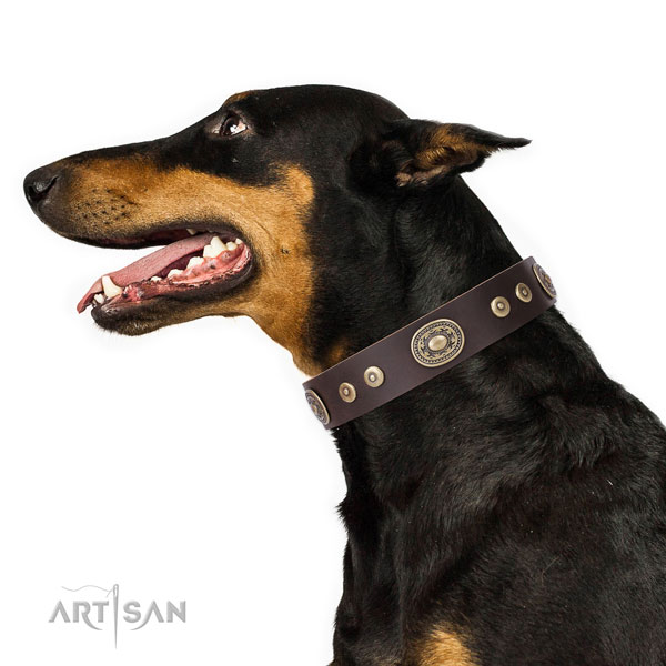 Inimitable studded natural leather dog collar for walking