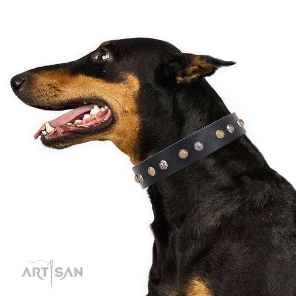 Full grain leather dog collar with rust-proof buckle and D-ring for daily use