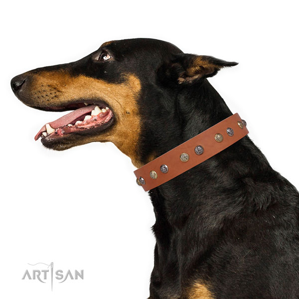 Full grain leather dog collar with corrosion resistant buckle and D-ring for walking