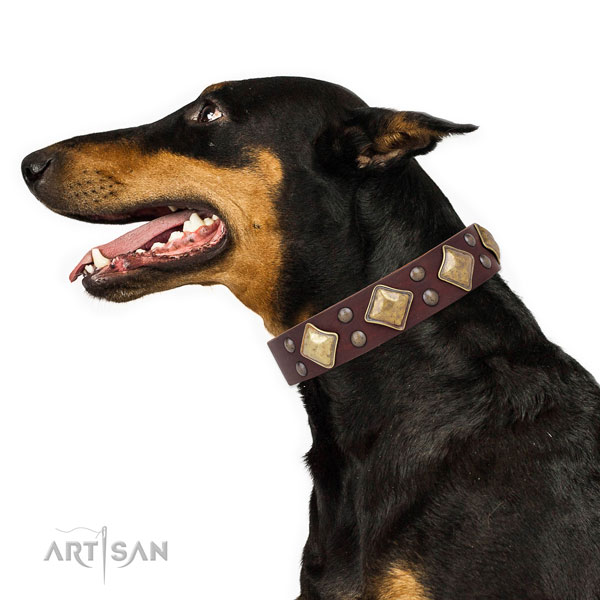 Everyday use decorated dog collar made of strong genuine leather