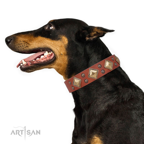 Fancy walking decorated dog collar made of reliable leather