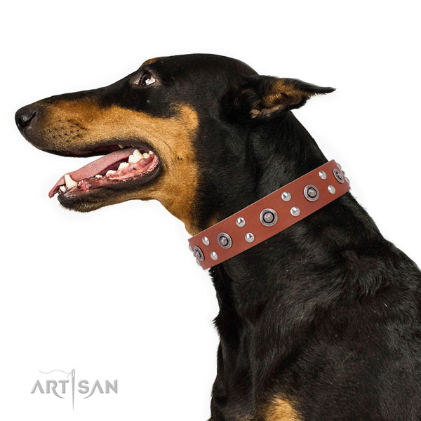 Stylish walking dog collar with exquisite adornments