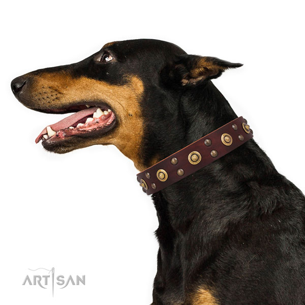 Daily walking dog collar with unusual embellishments