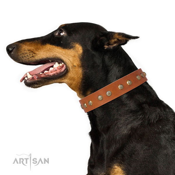 Inimitable adornments on handy use full grain natural leather dog collar