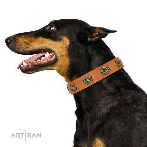 Stunning adornments on handy use natural genuine leather dog collar