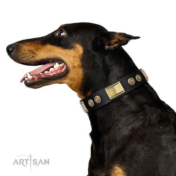 Trendy decorations on daily walking dog collar