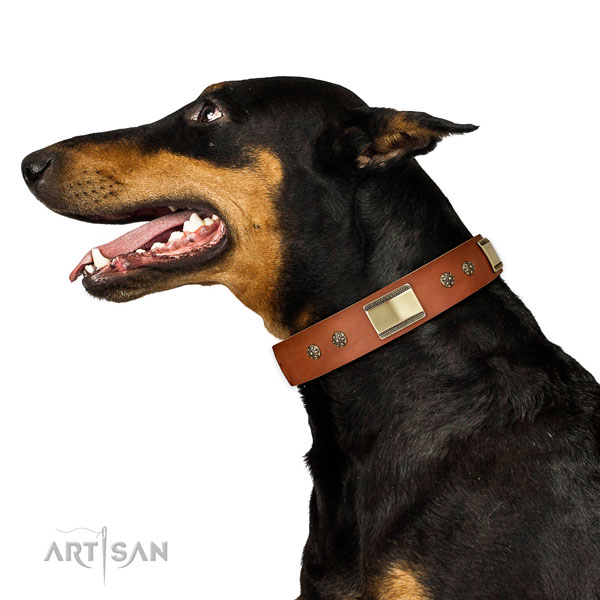 Basic training dog collar of leather with stylish studs