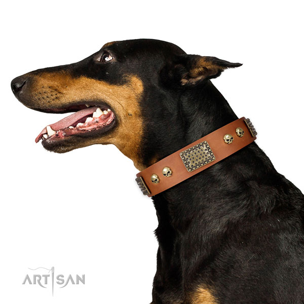 Corrosion resistant fittings on full grain leather dog collar for stylish walking