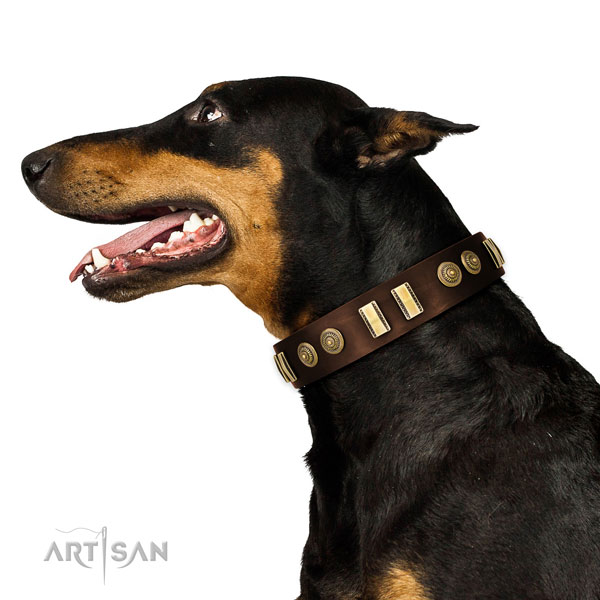 Reliable fittings on genuine leather dog collar for stylish walking