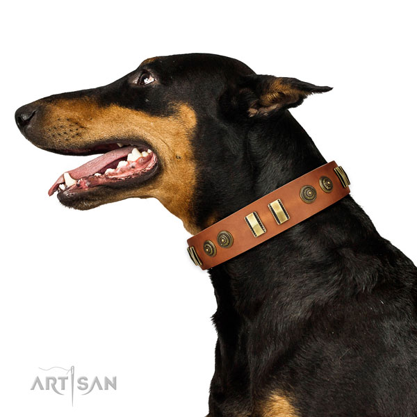 Corrosion resistant fittings on full grain natural leather dog collar for basic training