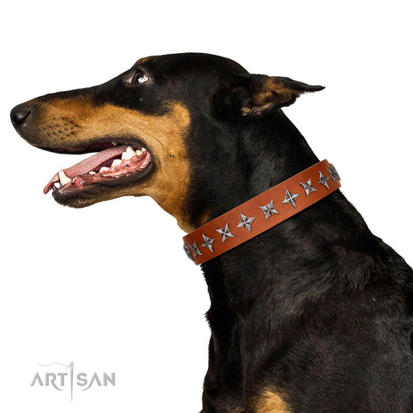Fine quality genuine leather dog collar with designer decorations