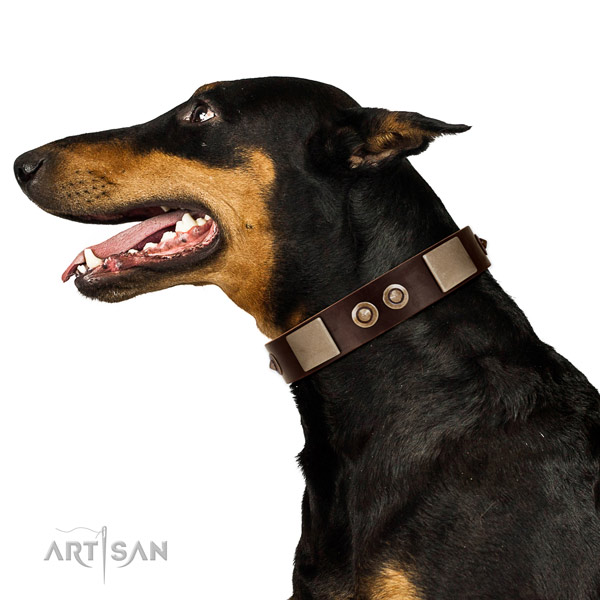 Strong D-ring on full grain leather dog collar for stylish walking