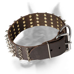 Doberman breed Leather Dog Collar for fashionable look