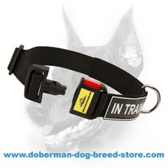 Easy adjustable dog collar made of nylon