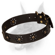 Doberman Dog Collar with durable brass-plated hardware