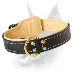Exclusive Doberman collar with traditional buckle and dee ring