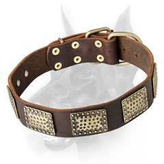 First rate leather dog collar for Dobermans