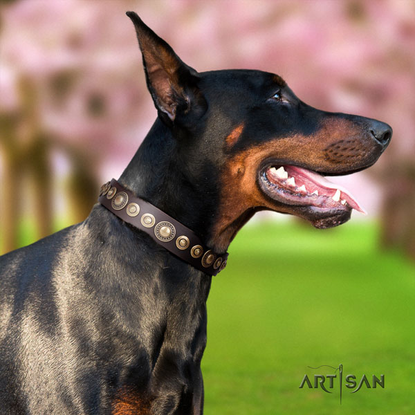 Doberman top notch full grain leather collar with decorations for your four-legged friend