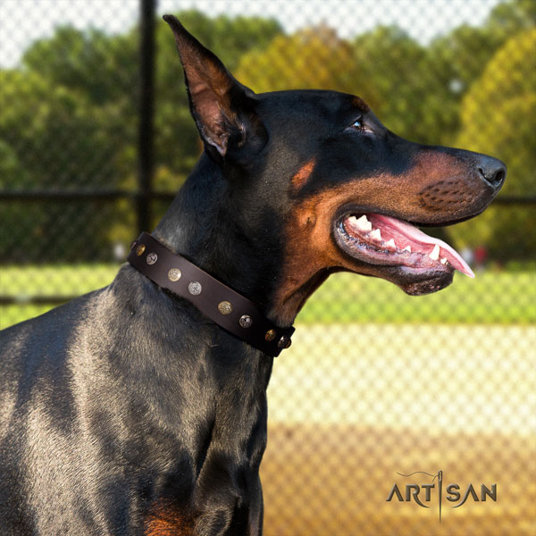 Doberman perfect fit full grain natural leather collar with decorations for your pet