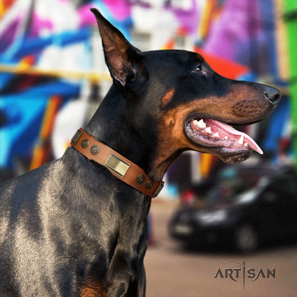 Doberman fine quality leather collar with embellishments for your four-legged friend